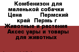 Комбенизон для маленькой собачки › Цена ­ 600 - Пермский край, Пермь г. Животные и растения » Аксесcуары и товары для животных   